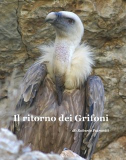 Il ritorno dei Grifoni