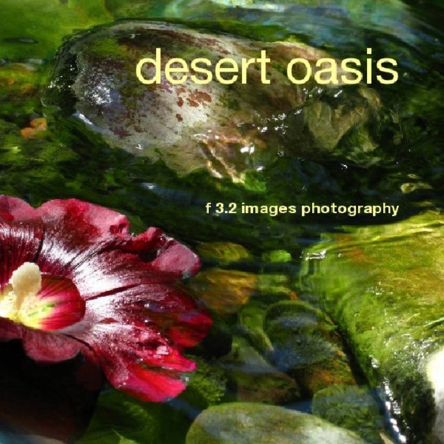 desert oasis