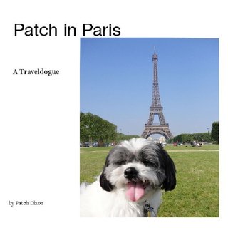Patch in Paris