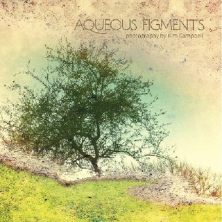 Aqueous Figments