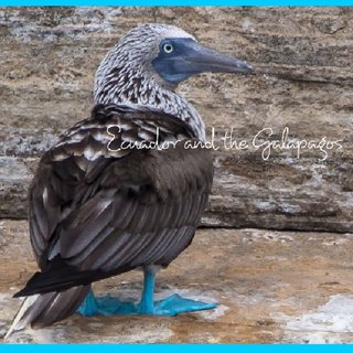 Ecuador and the Galapagos