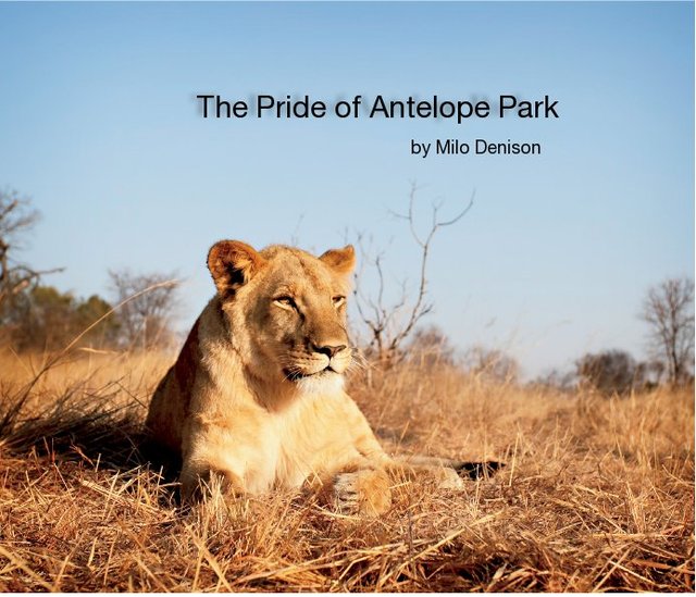 The Pride of Antelope Park