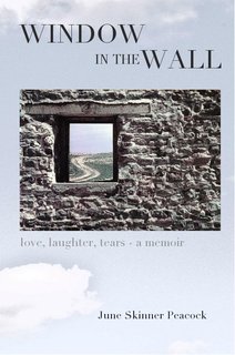 Window In The Wall