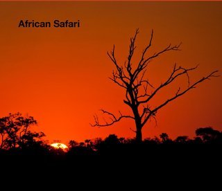 African Safari