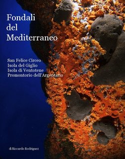 Fondali del Mediterraneo