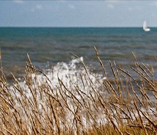 Un petit bout de Vendée.