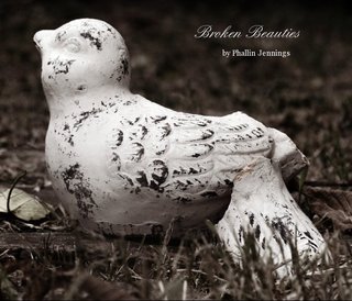 Broken Beauties