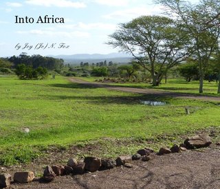 Into Africa