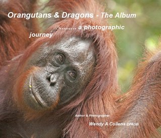 Orangutans & Dragons - The Album