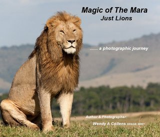 Magic of The Mara Just Lions