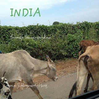 INDIA through the carwindow