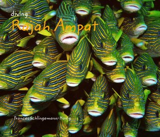 diving Rajah Ampat