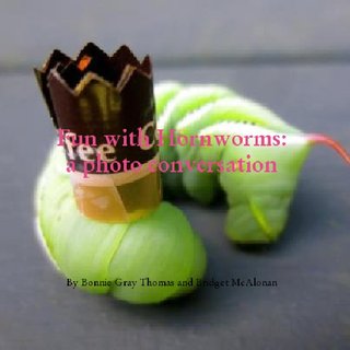 Fun with Hornworms:
a photo conversation