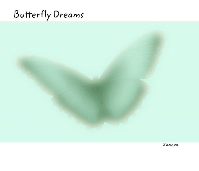 Butterfly Dreams
