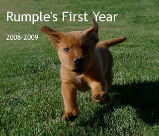 Rumple's First Year 2008-2009