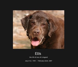 Ellis 