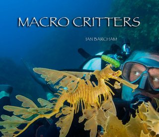MACRO CRITTERS
