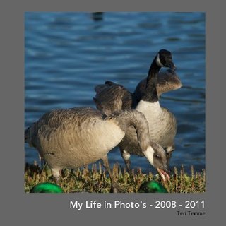My Life in Photo's - 2008 - 2011