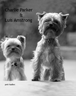 Charlie Parker & Luis Amstrong