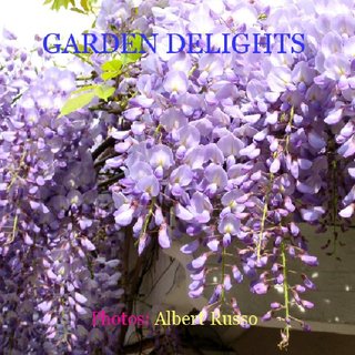 GARDEN DELIGHTS