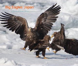Big Eagles Japan