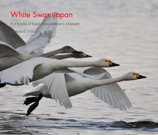 White Swan Japan