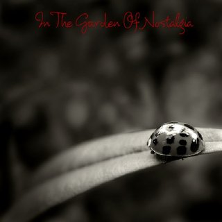 In The Garden Of Nostalgia