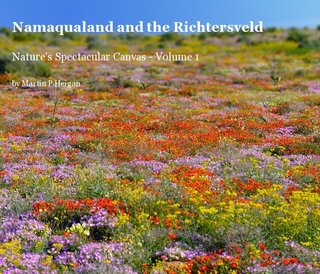 Namaqualand and the Richtersveld