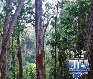 Big Island Zip Tour