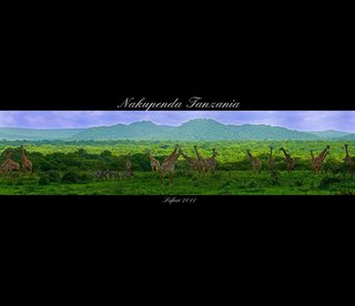 Nakupenda Tanzania 
