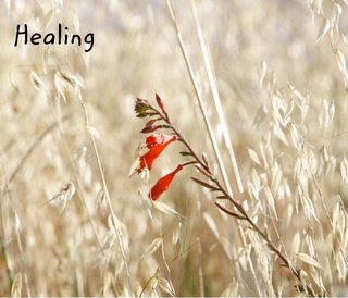 Healing
