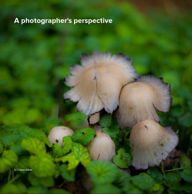 A photographer's perspective