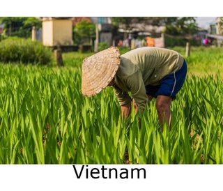 Vietnam