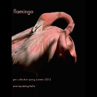 flamingo