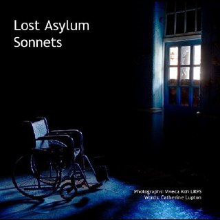 Lost Asylum Sonnets