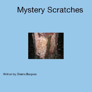 Mystery Scratches