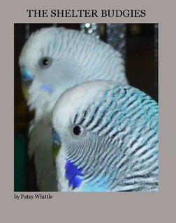 The Shelter Budgies