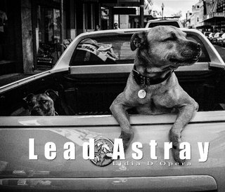 Lead Astray