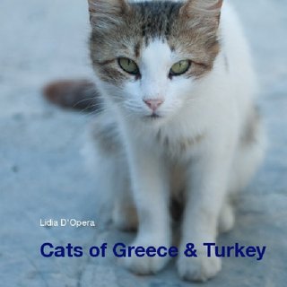 Cats of Greece & Turkey