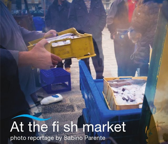 At the fish market