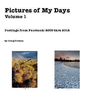 Pictures of My Days Volume 1