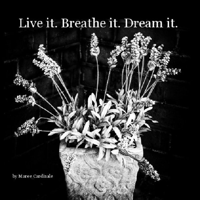 Live it. Breathe it. Dream it.