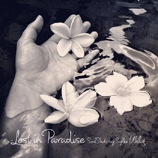 Lost in Paradise