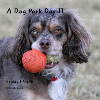 A Dog Park Day II