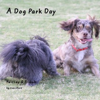 A Dog Park Day