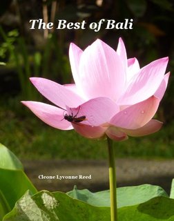 The Best of Bali