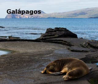 Galápagos