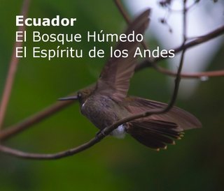 Ecuador El Bosque Húmedo El Espíritu de los Andes