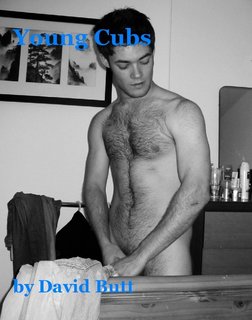 Young Cubs by David Butt