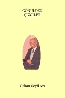 GÖNÜLDEN ÇİZGİLER